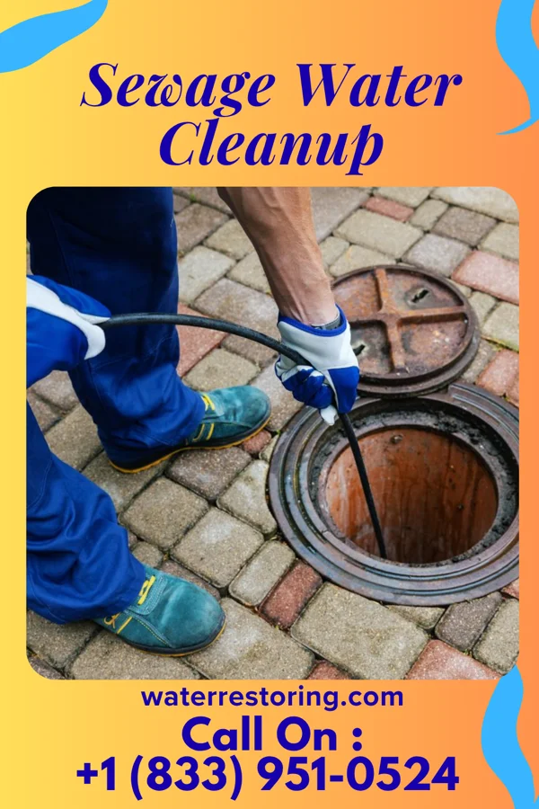 Sewage Water Cleanup in Tainter Lake, WI